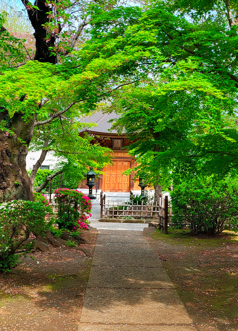 Temple-Gotokuji-portrait-08