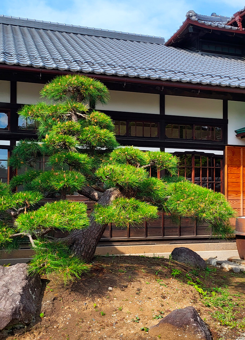 Temple-Gotokuji-portrait-14